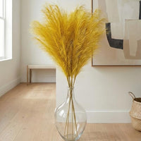 Minimalist Glass Vase for Home Decor – Modern Elegant Flower Vase Centerpiece