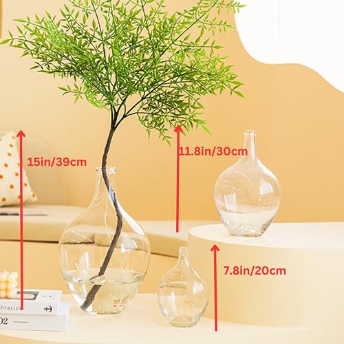 Minimalist Glass Vase for Home Decor – Modern Elegant Flower Vase Centerpiece