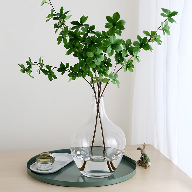 Minimalist Glass Vase for Home Decor – Modern Elegant Flower Vase Centerpiece